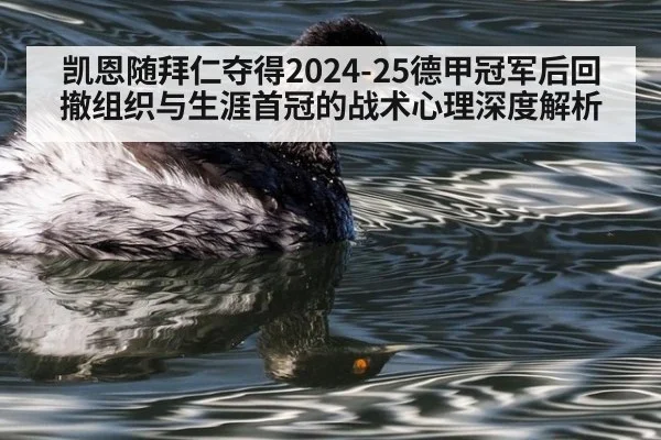 凯恩随拜仁夺得2024-25德甲冠军后回撤组织与生涯首冠的战术心理深度解析